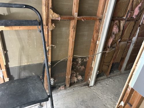 Electricians-Fort-Worth-Texas-8-11-26-004